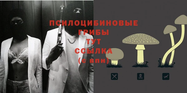 гидра Зеленодольск