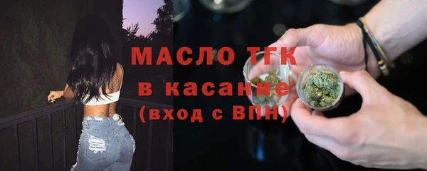 гидра Зеленодольск
