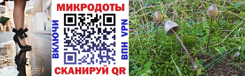 Псилоцибиновые грибы мицелий  Купить где  Ковдор 